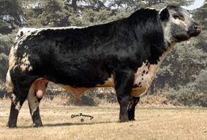 68L